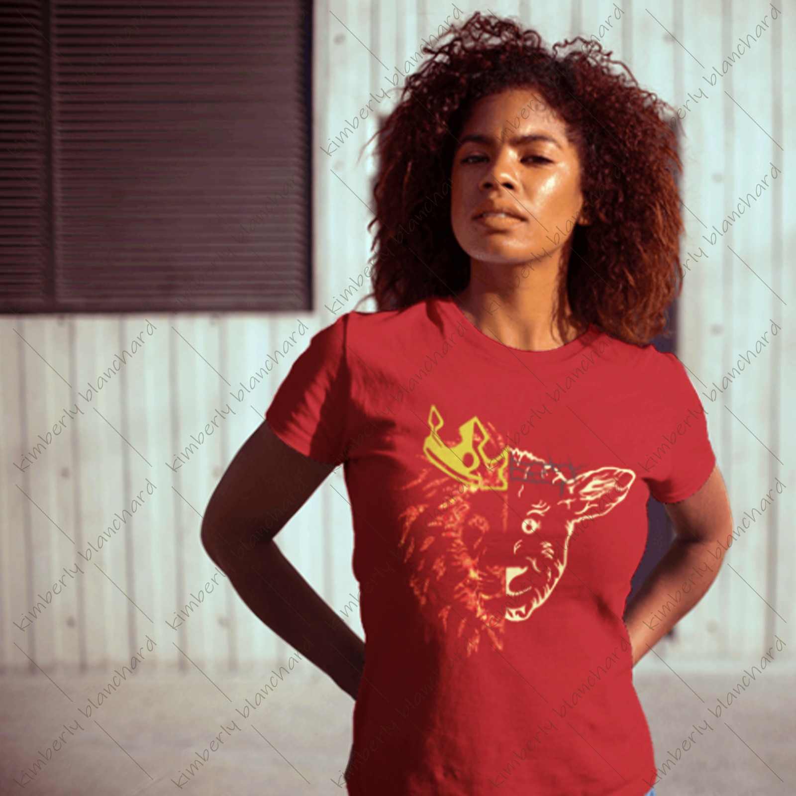 Design Development and Production